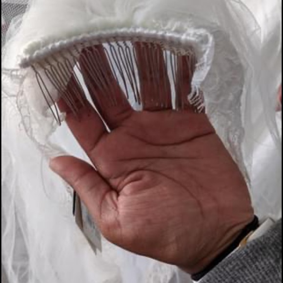 Veil - Picture 3 of 7